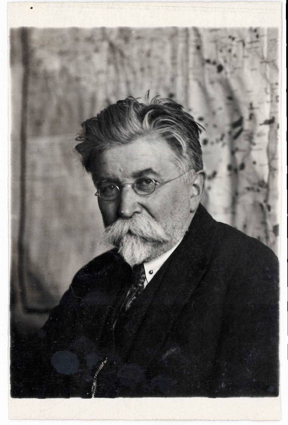 Микола Василенко (1866-1935) - громадський та політичний діяч, Міністр освіти, тимчасово в. о. Міністра закордонних справ (3-21 травня 1918 р.), Президент Державного Сенату Української Держави